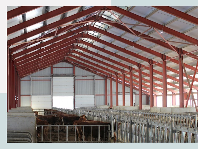 Строительство коровников в Королёве