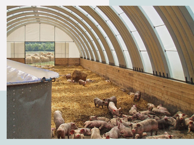 Строительство свинарников в Королёве