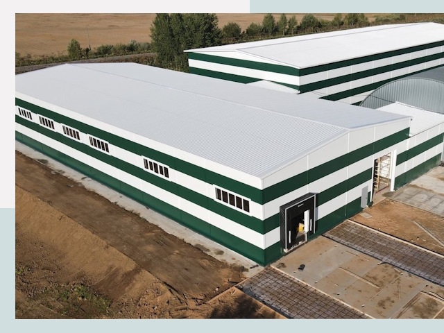 Строительство овощехранилищ в Королёве