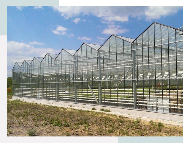 Строительство теплиц в Королев от 624 руб. за м²