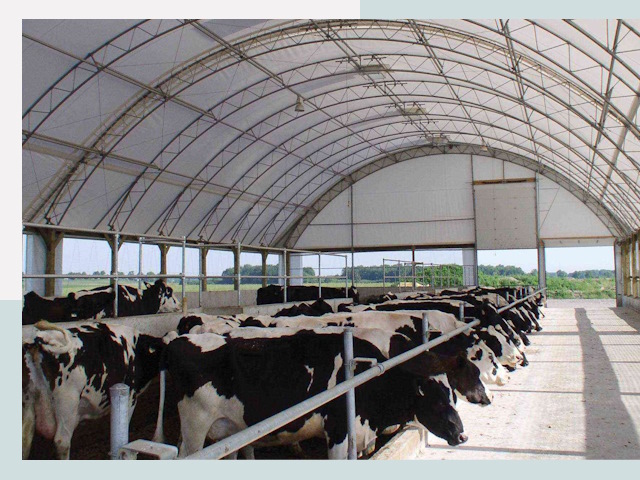 Тентовые коровники в Королёве